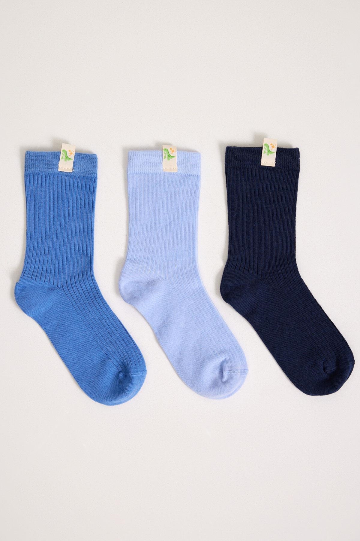 Erkek Çocuk Mavi 3lü Çorap