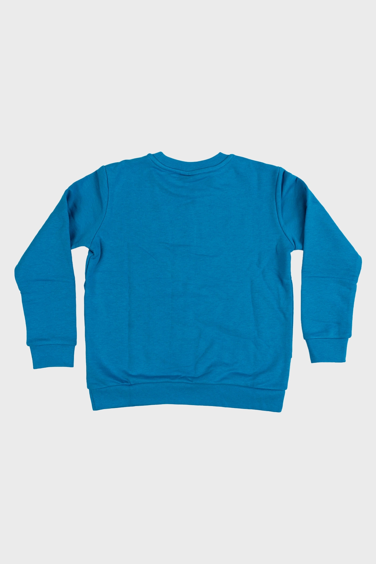 Erkek Çocuk Sweatshirt