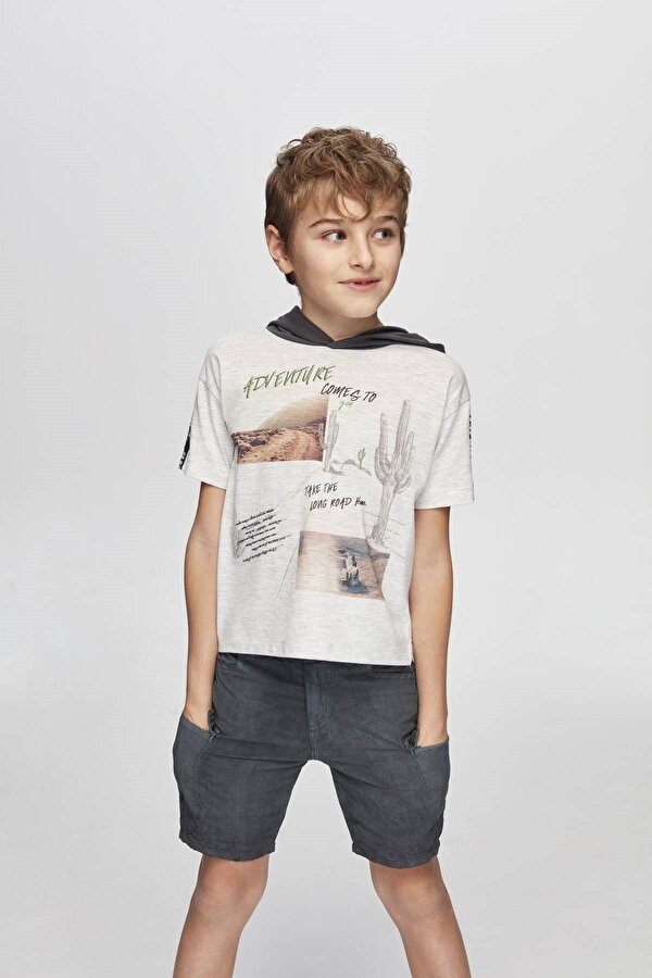 Resim Erkek Çocuk Gri Melanj T-Shirt