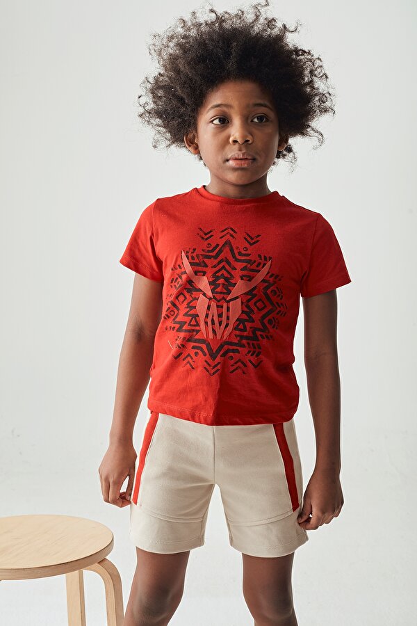 Resim Erkek Çocuk Kırmızı T-Shirt