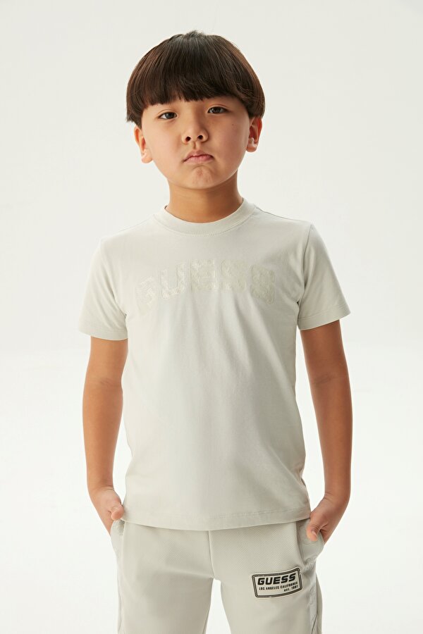 Resim Erkek Çocuk Gri T-Shirt