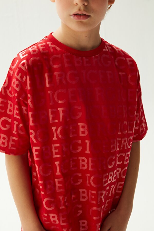 Resim Erkek Çocuk Kiremit T-Shirt