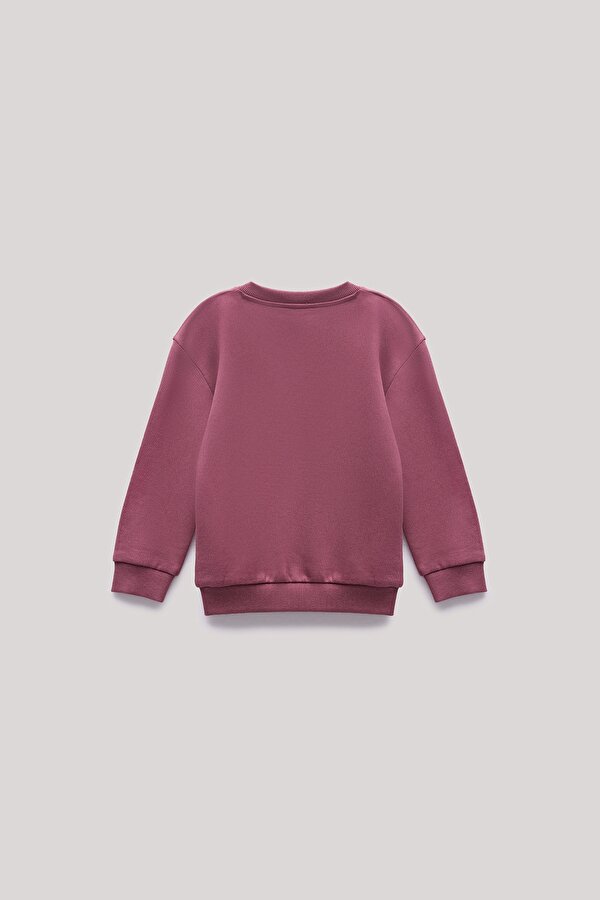 erkek-cocuk-bordo-sweatshirt-23100