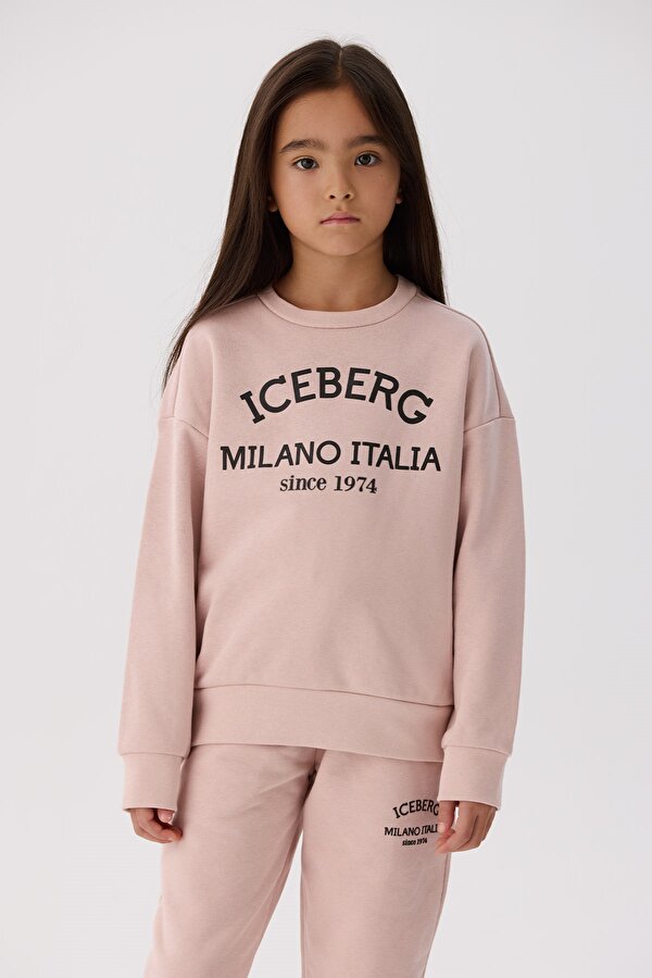 unisex-sweatshirt-23870